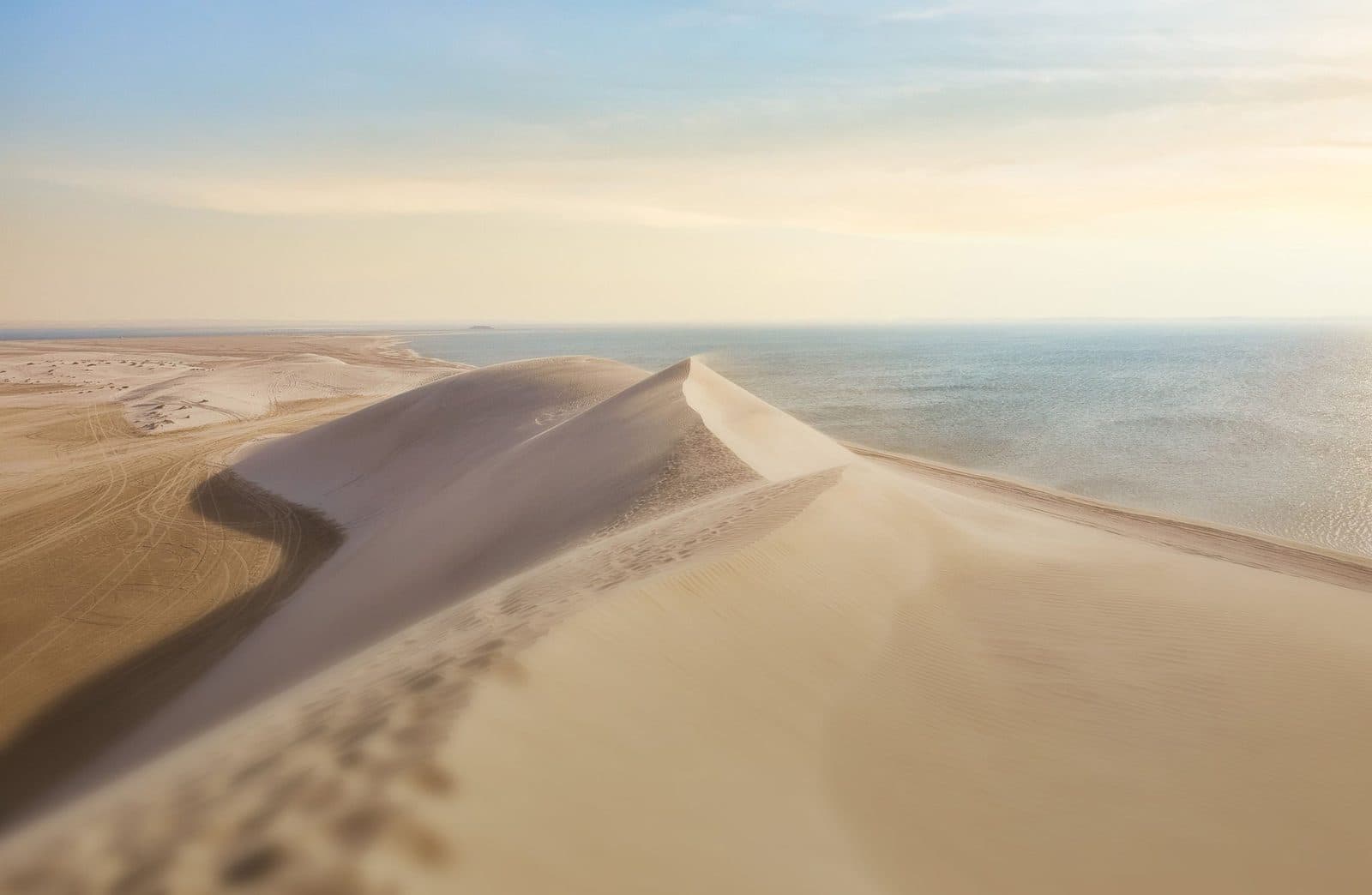 Sealine Sand Dunes