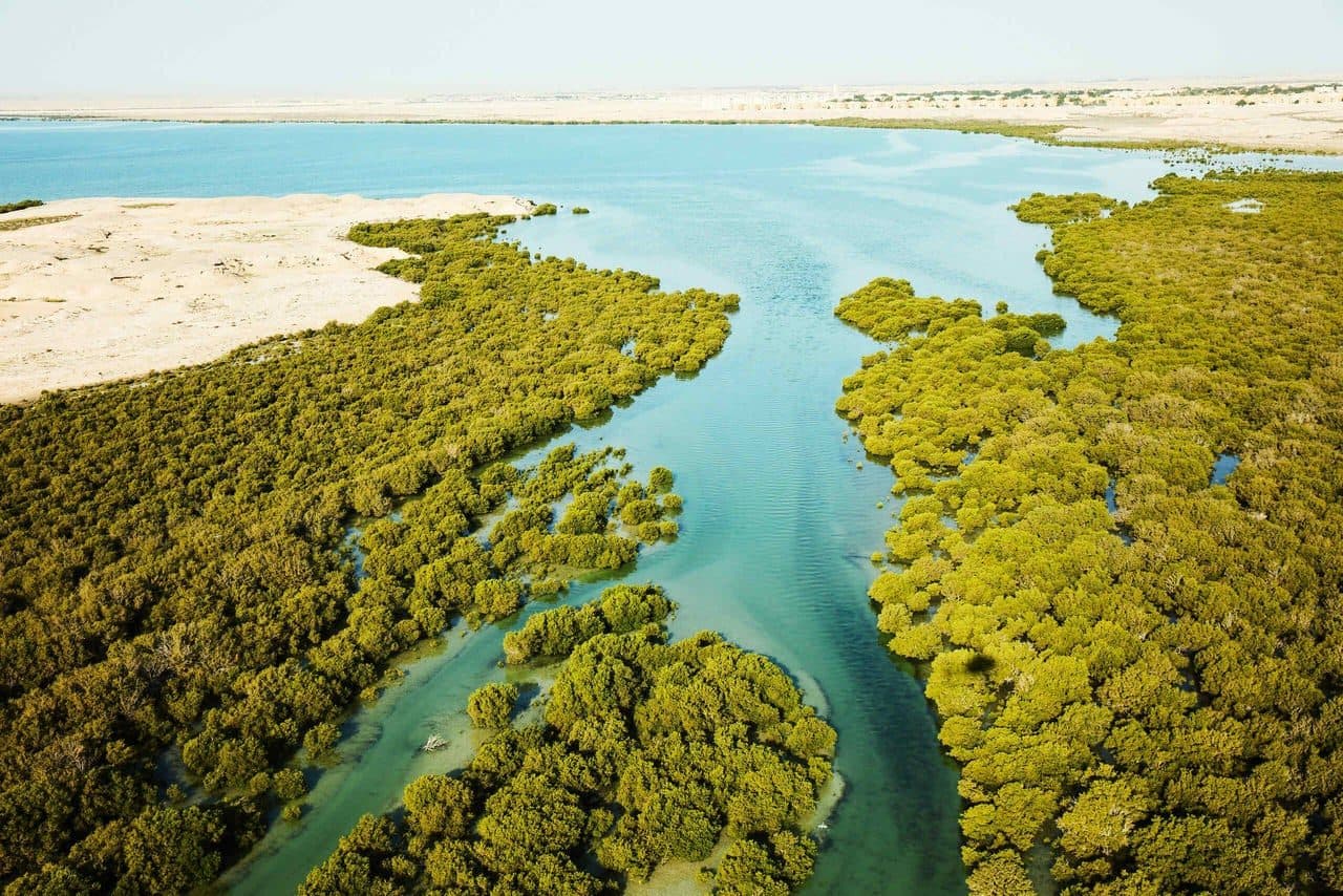 Kitesurfing at Al Thakhira
