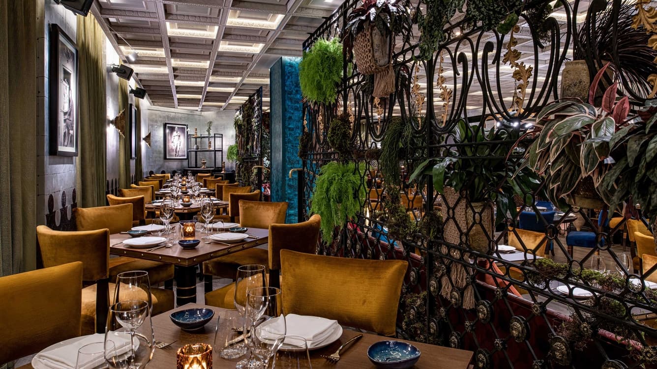 Coya Doha